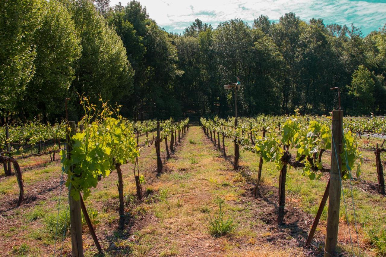 Quinta De Requeixo Villa Guimaraes Luaran gambar