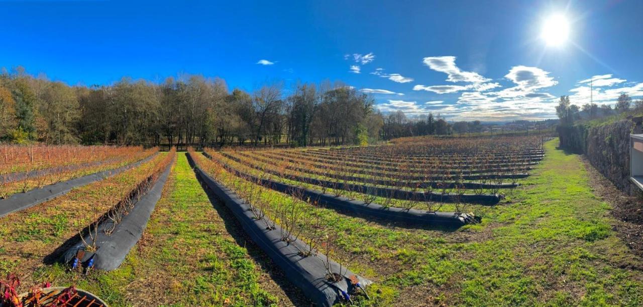Quinta De Requeixo Villa Guimaraes Luaran gambar